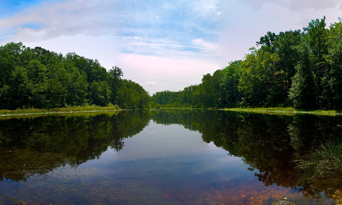 A still fishing pond at Cedarville State Forest, with trees reflected in the water under a blue sky
